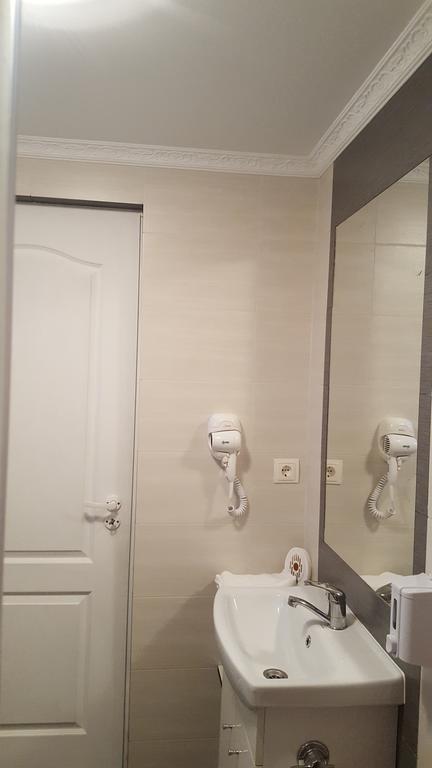 HaţegCasa Leoアパートメント エクステリア 写真