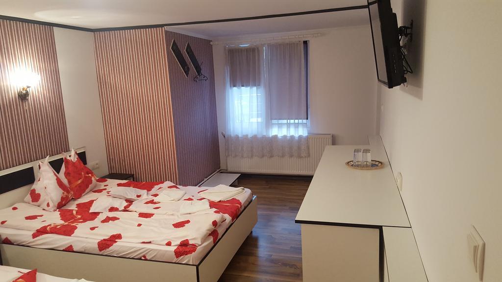 HaţegCasa Leoアパートメント エクステリア 写真