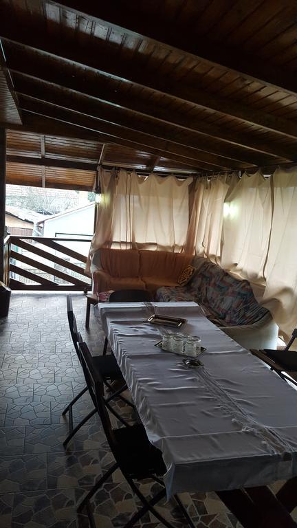 HaţegCasa Leoアパートメント エクステリア 写真