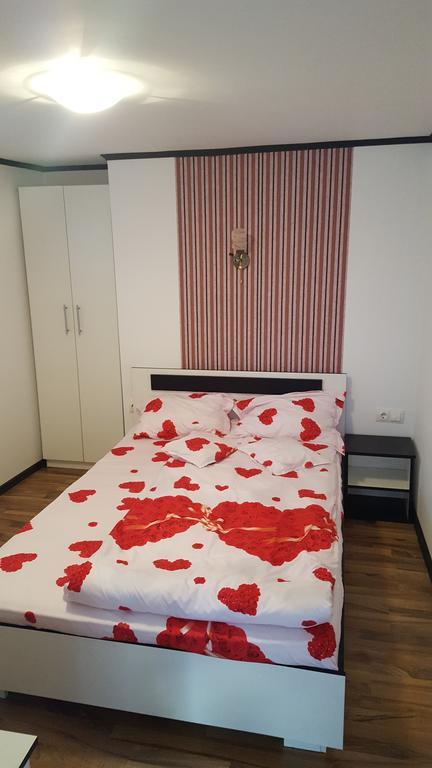 HaţegCasa Leoアパートメント エクステリア 写真