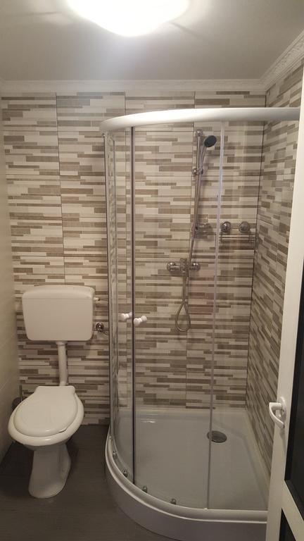 HaţegCasa Leoアパートメント エクステリア 写真